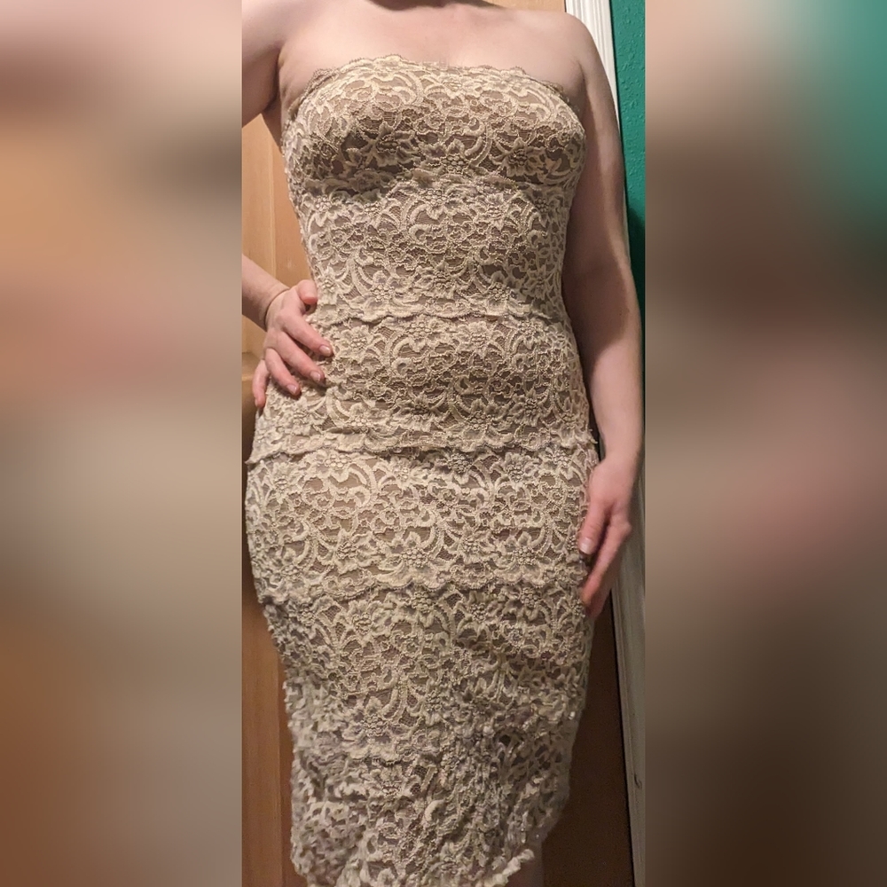 Cream lace White House Black Market strapless dress, size M (4-6)